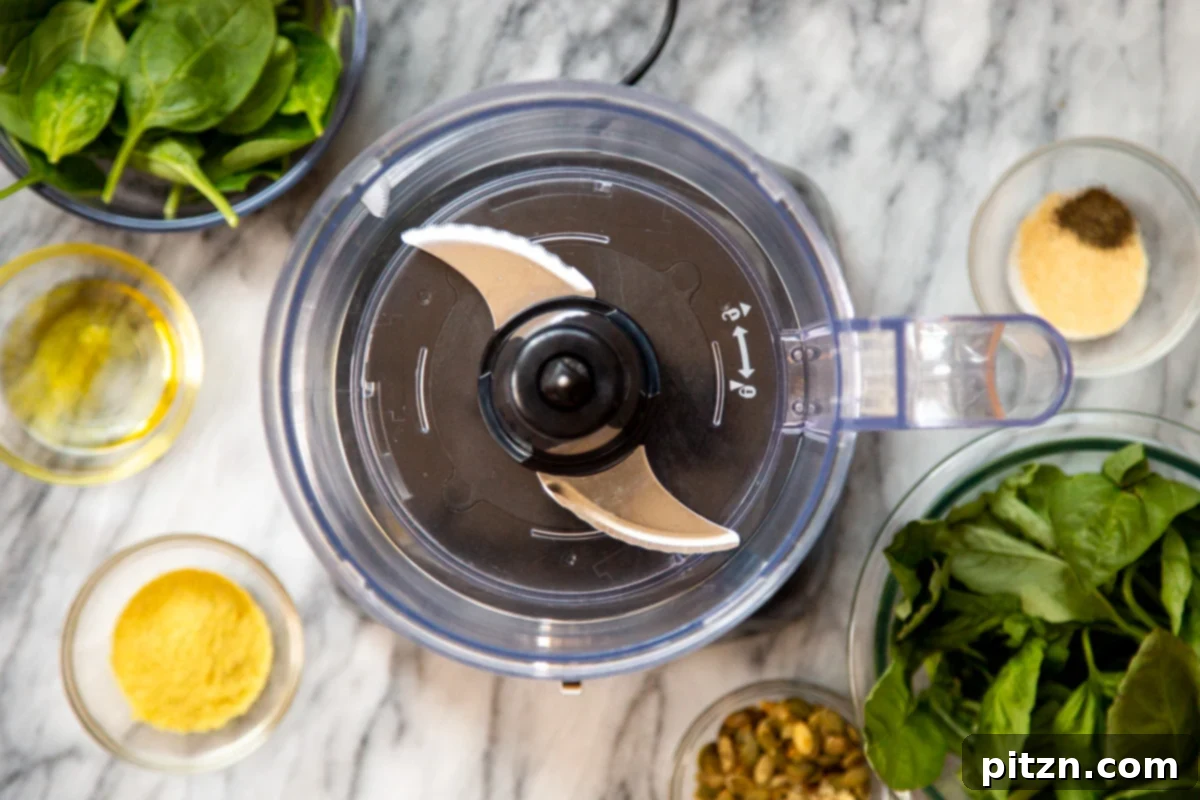 A clean food processor and all the fresh ingredients needed for making homemade pesto, arranged on a marble countertop.