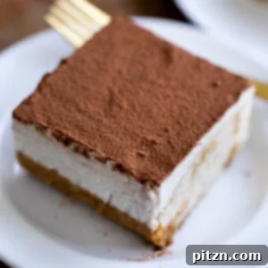 Plant-Based Tiramisu Tray Bake 6 A delicious vegan tiramisu sheet cake ready to be served.