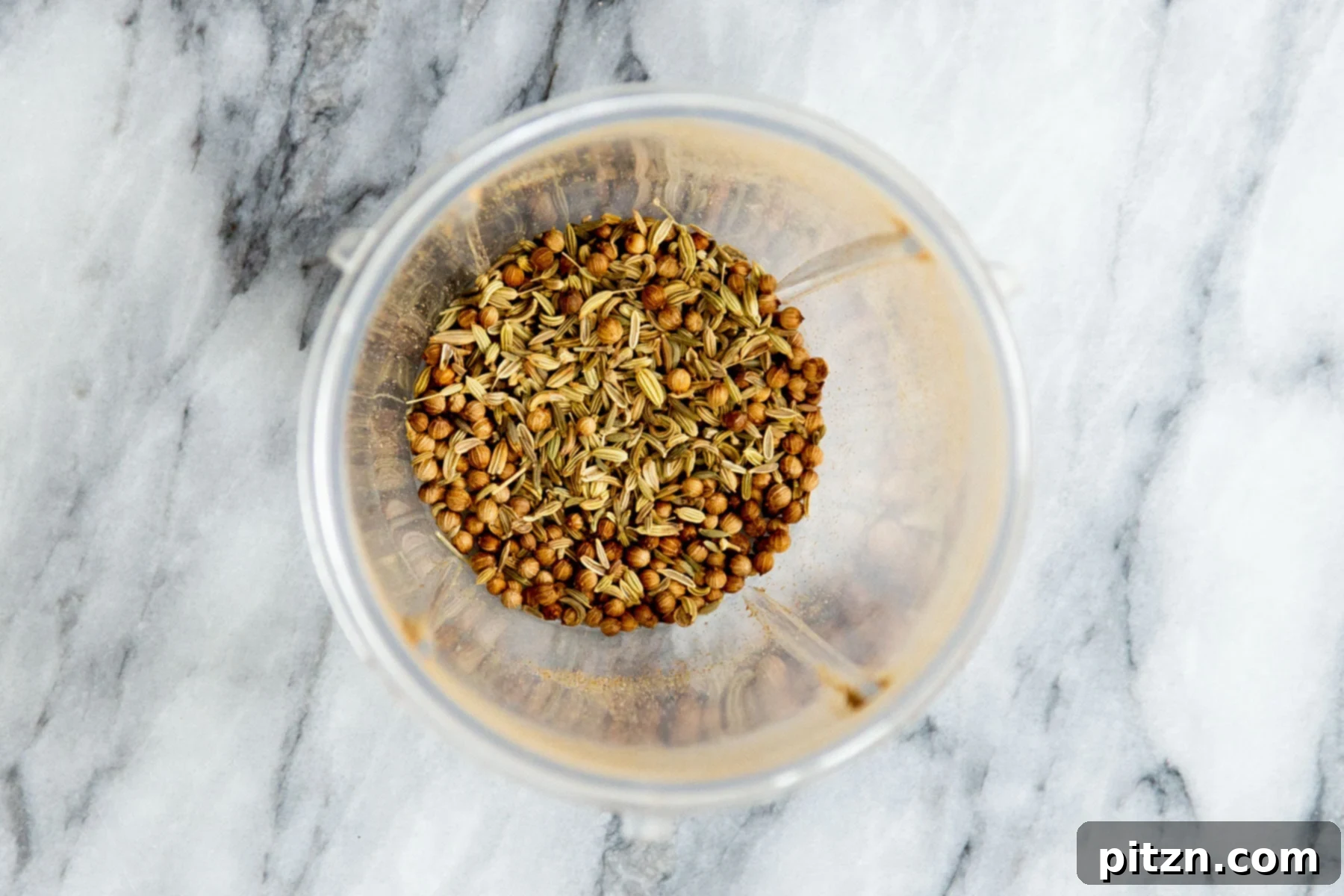 Fennel seeds and coriander seeds placed together in a spice grinder, ready to be ground.