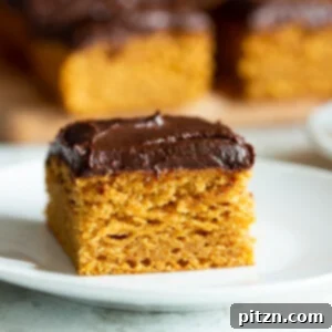 A delicious Vegan Pumpkin Cake with rich Chocolate Pumpkin Ganache, an easy one-bowl sheet cake with thick frosting.