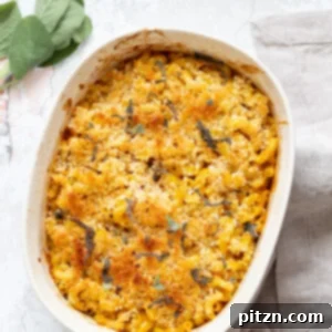 Vegan Pumpkin Mac and Cheese Bake, featuring an easy creamy pumpkin sauce with pasta, topped with crisp sage and breadcrumbs.
