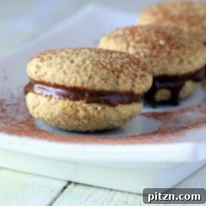 three tiramisu cookies on a white plate, dusted with cocoa powder