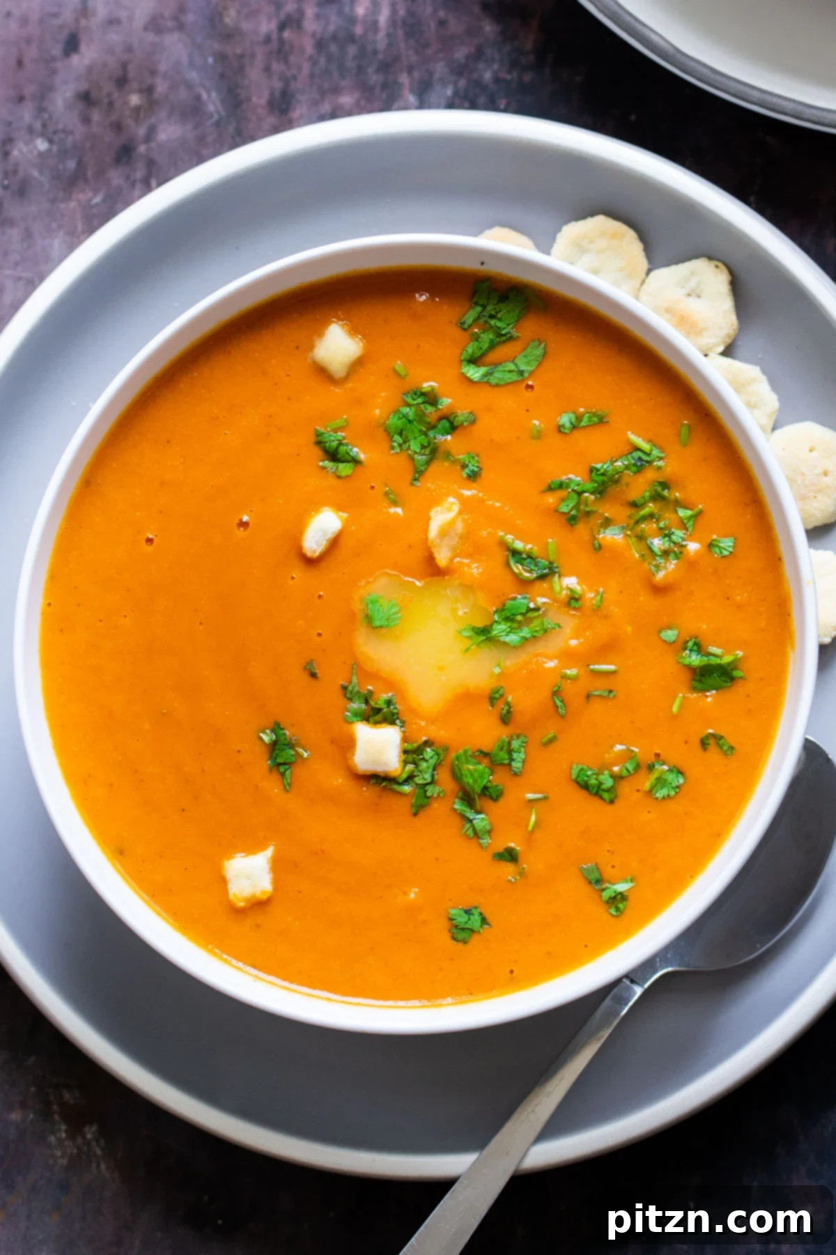 Velvet Roasted Tomato Bliss 14 A beautifully presented plate with a bowl of vegan oven-roasted tomato soup, accompanied by a side of crisp crackers, ready for a comforting meal.