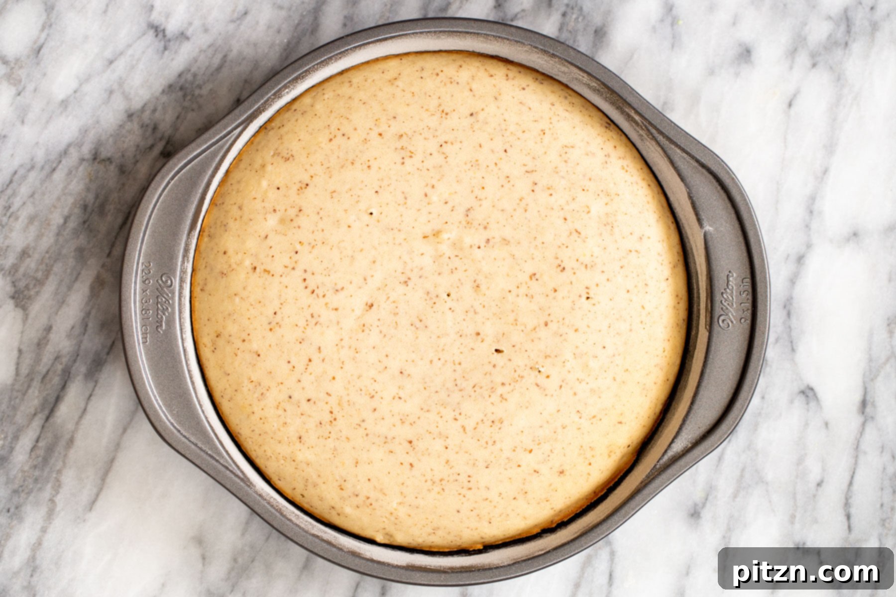 Plant-Based Boston Dream Cake 13 A freshly baked vegan sponge cake, golden brown and risen, still in its springform pan immediately after being removed from the oven.