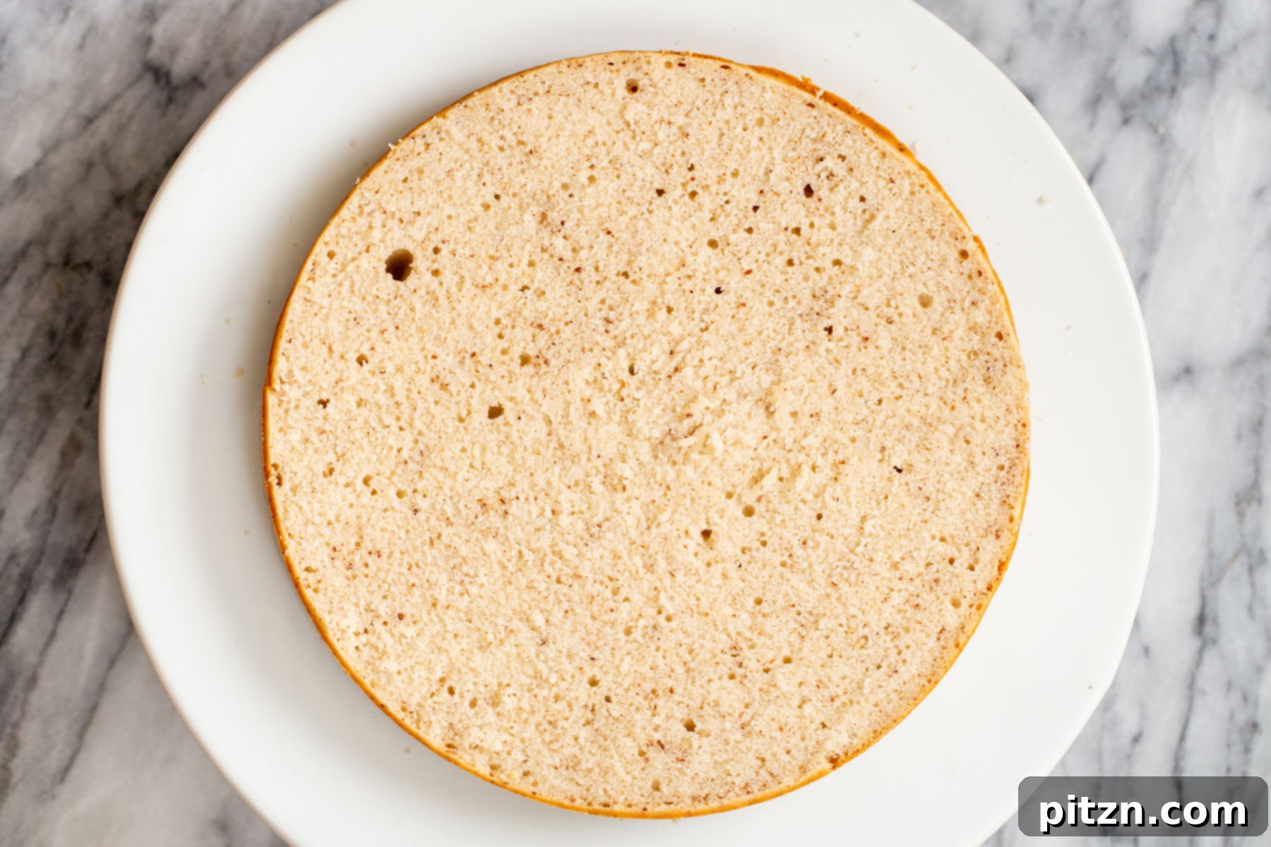 Plant-Based Boston Dream Cake 24 A perfectly sliced open vegan sponge cake on a cake stand, revealing its even crumb, ready for filling.