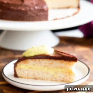 Plant-Based Boston Dream Cake 31 Vegan Boston Cream Pie Cake recipe image