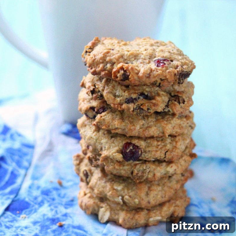 Plant-Based & Gluten-Free Friendly Cranberry Chocolate Chip Oatmeal Cookies 2 A beautifully arranged plate of freshly baked Cranberry Chocolate Chip Oatmeal Cookies, showcasing their golden-brown edges and inviting texture.