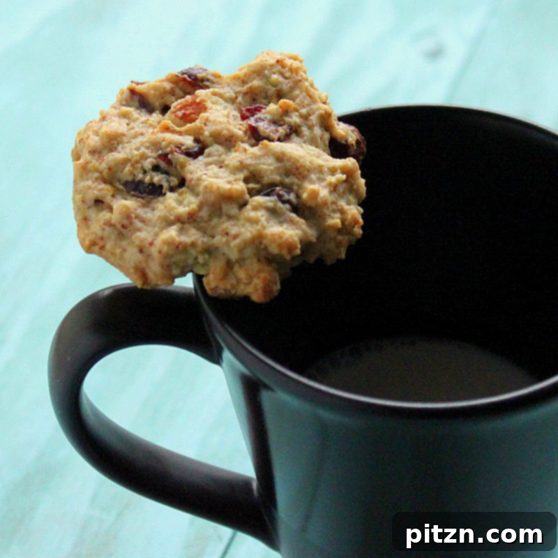 Plant-Based & Gluten-Free Friendly Cranberry Chocolate Chip Oatmeal Cookies 3 Close-up of a single vegan cranberry chocolate chip oatmeal cookie, highlighting the texture of the oats and visible chocolate chips and cranberries.