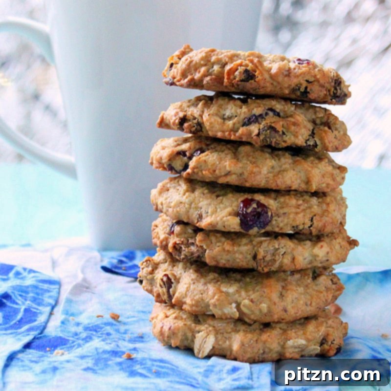 Plant-Based & Gluten-Free Friendly Cranberry Chocolate Chip Oatmeal Cookies 4 Three Cranberry Chocolate Chip Oatmeal Cookies stacked neatly, with more cookies visible in the background, appealing and ready to be enjoyed.