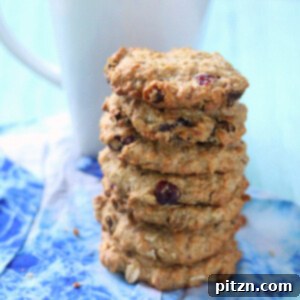 Plant-Based & Gluten-Free Friendly Cranberry Chocolate Chip Oatmeal Cookies 5 A stack of Cranberry Chocolate chip Oatmeal cookies on a blue background, perfect for a healthy snack.