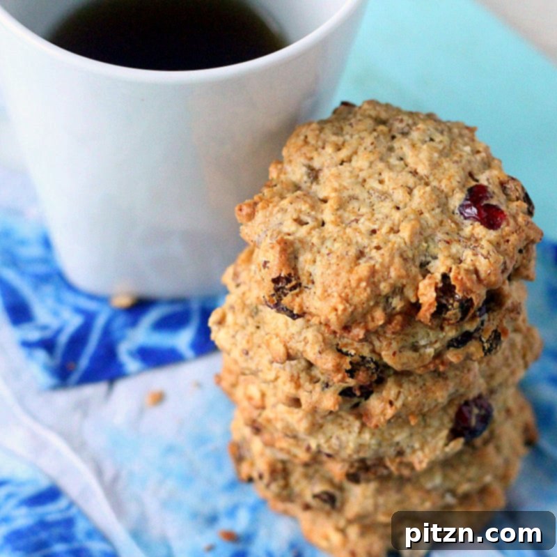 Plant-Based & Gluten-Free Friendly Cranberry Chocolate Chip Oatmeal Cookies 6 A close-up shot of a baked vegan cranberry chocolate chip oatmeal cookie, showing its inviting texture and golden hue, ready to be devoured.