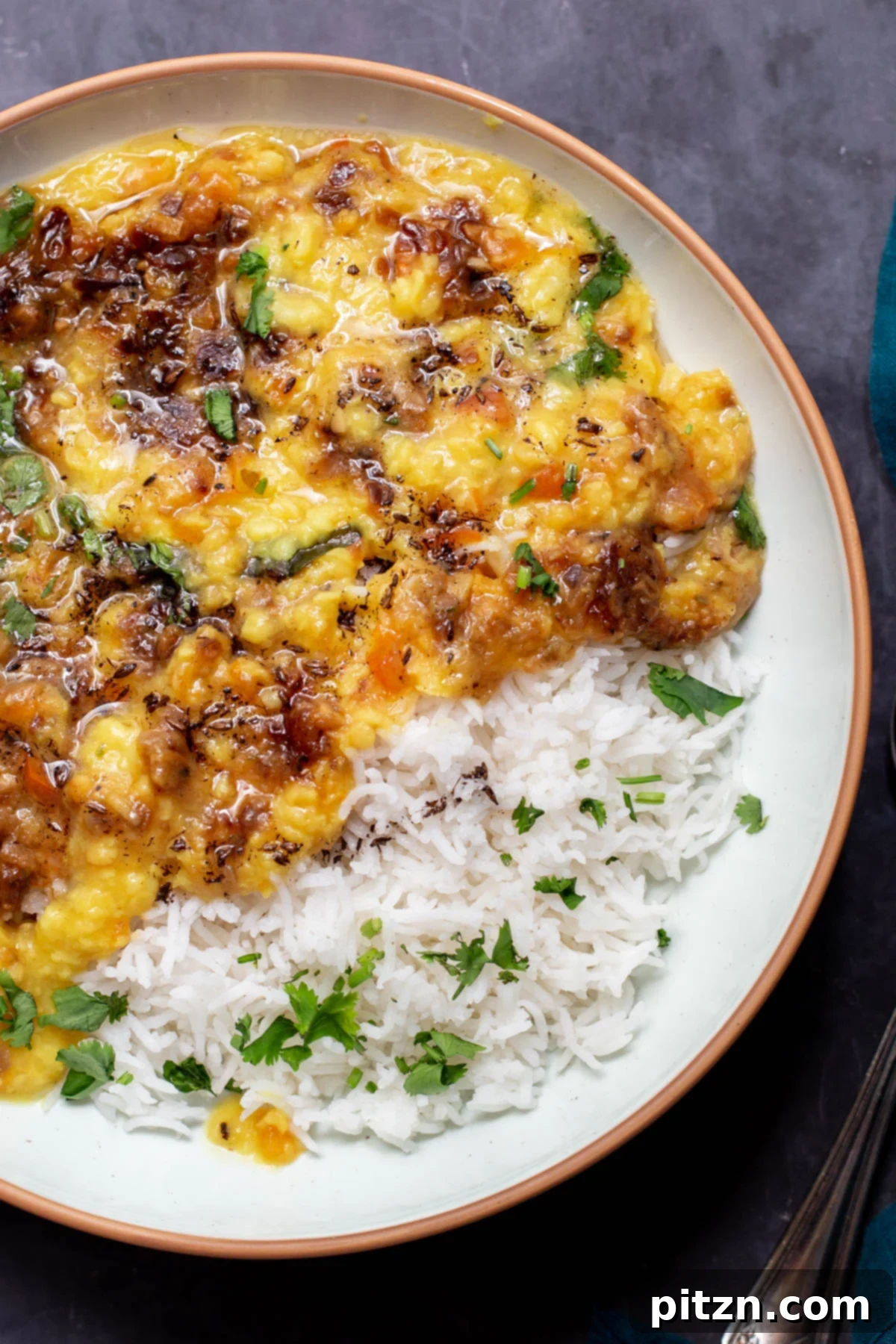 A bowl of Indian Caramelized Onion Dal, garnished with fresh cilantro, served alongside a portion of steamed white rice, presenting a complete and appetizing meal.