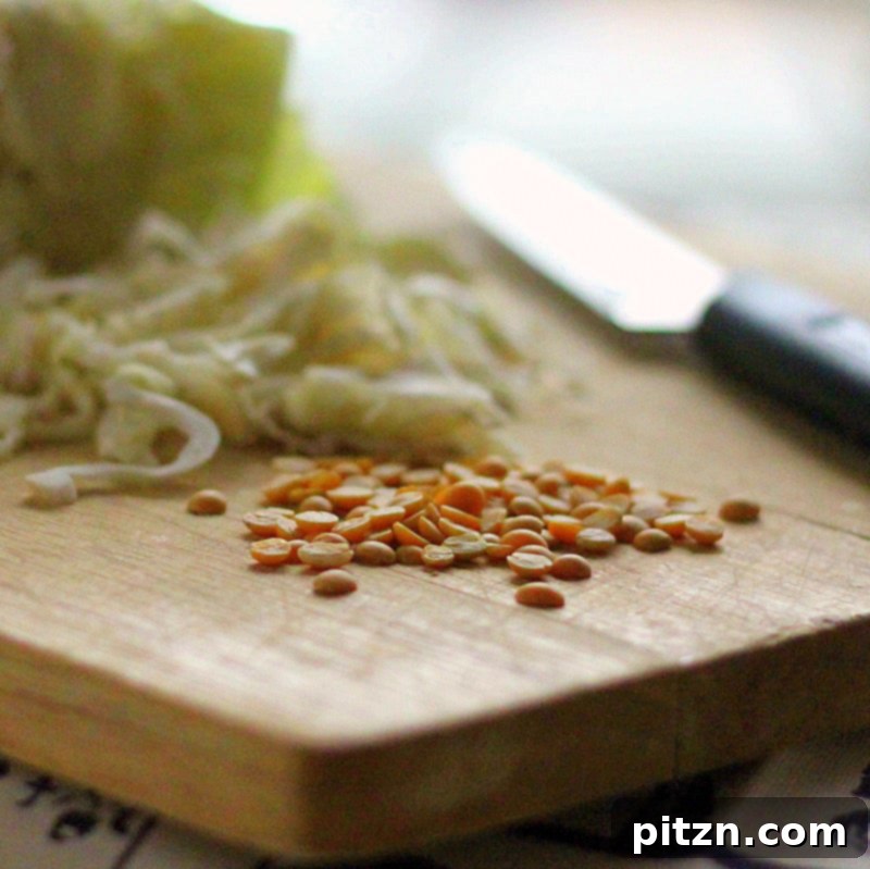 Cabbage stir fry ingredients being tempered in a pan