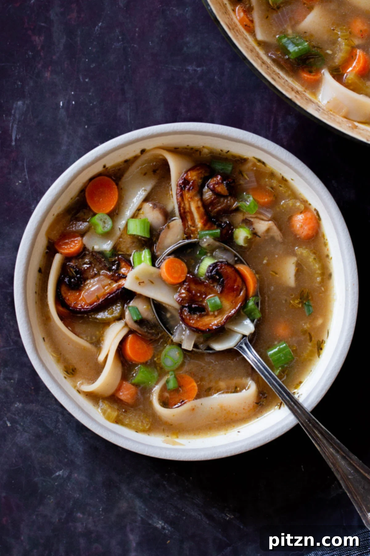 Hearty One-Pot Mushroom Noodle Delight 5 A beautiful bowl of mushroom noodle soup on a dark slate table, garnished with fresh green onions.