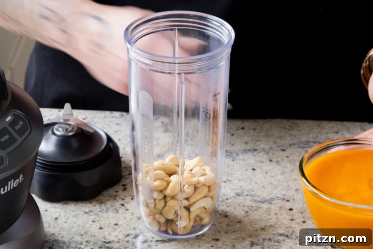 raw cashews in the blender canister