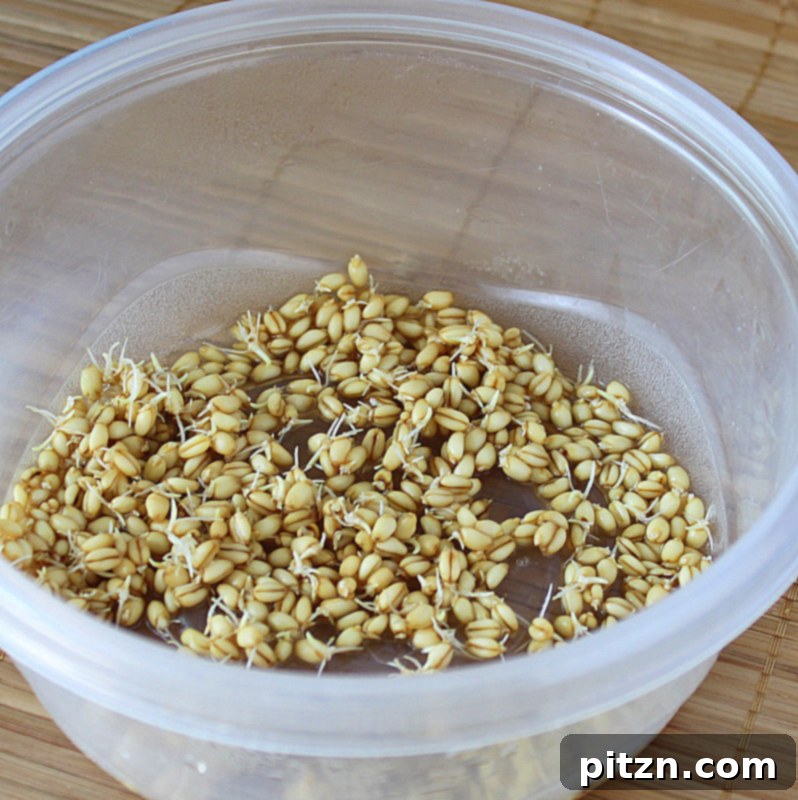 Wholesome Vegan Sprouted Wheat Strawberry Bread 4 img 539 3