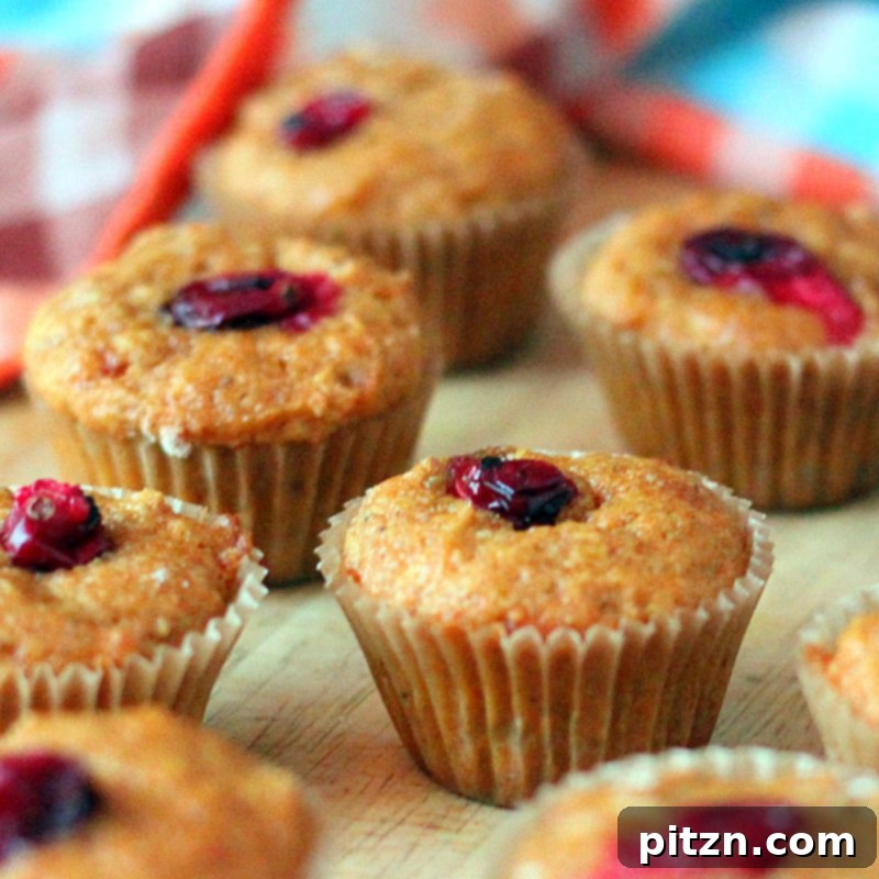 Vegan Carrot Cake Muffins and Halwa Delights 2 Delicious Vegan Carrot Almond Cake and Muffins, alongside traditional Carrot Halwa, perfect for any time of day.