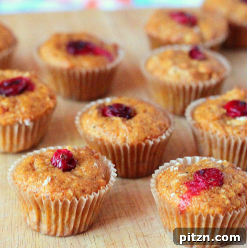 Vegan Carrot Cake Muffins and Halwa Delights 7 Assortment of freshly baked vegan carrot almond muffins, garnished with dried cranberries, sitting on a rustic wooden surface.