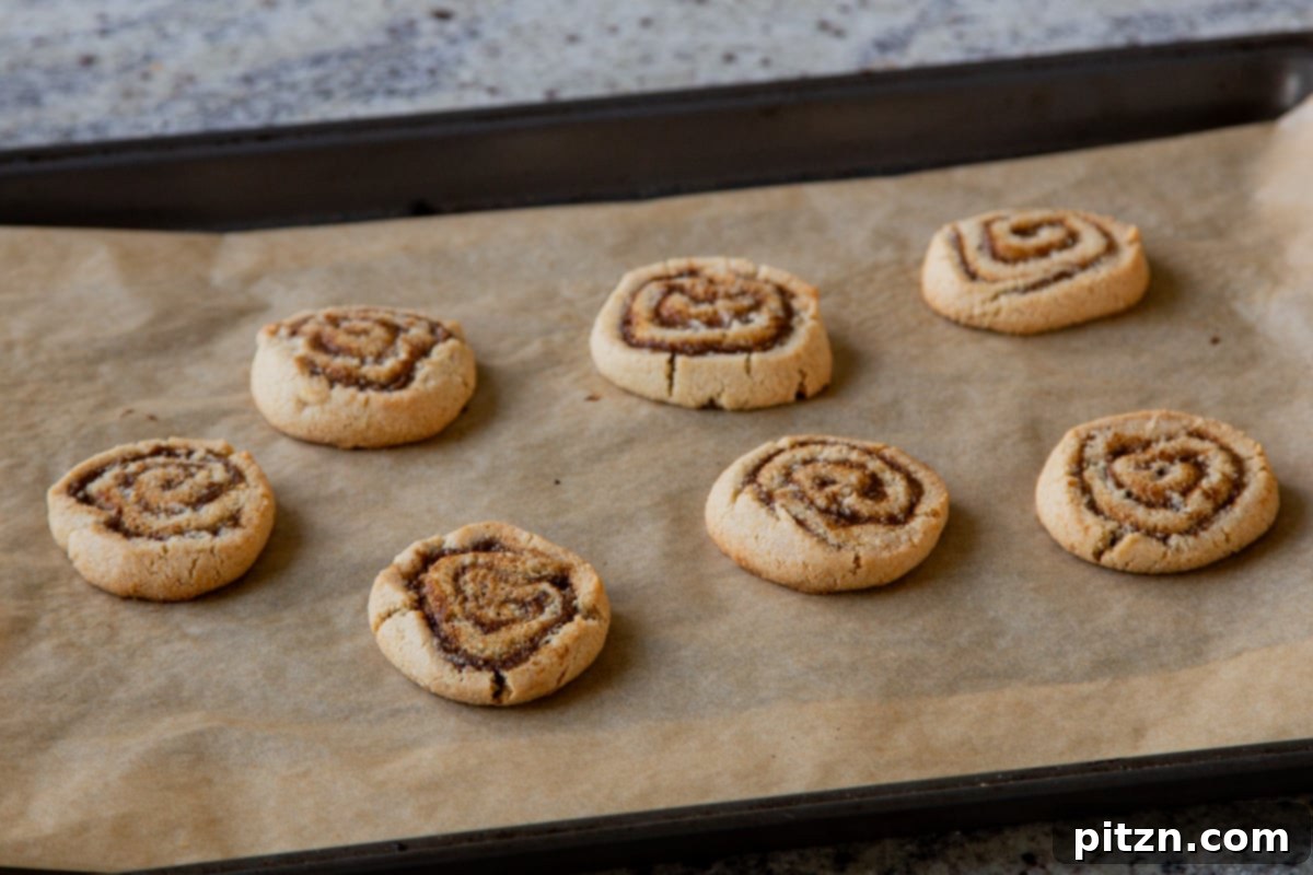 pumpkin spice roll cookies cooling on the cookie sheet after baking, showing golden edges