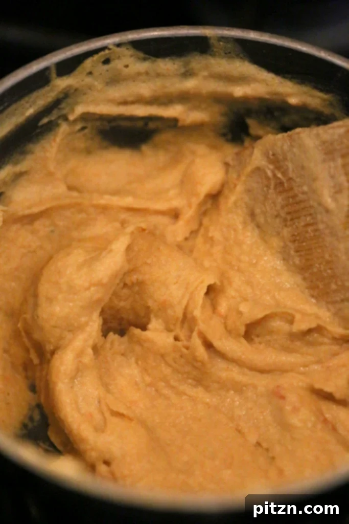 nacho cheese slices 3331