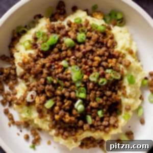 lentil mashed potatoes in a bowl with green onions on top