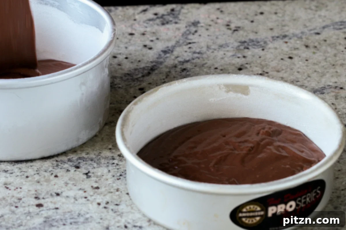 Decadent Vegan Mocha Cake with Velvety Chocolate Mousse (Gluten-Free Option) 10 cake batter divided between two round cake pans