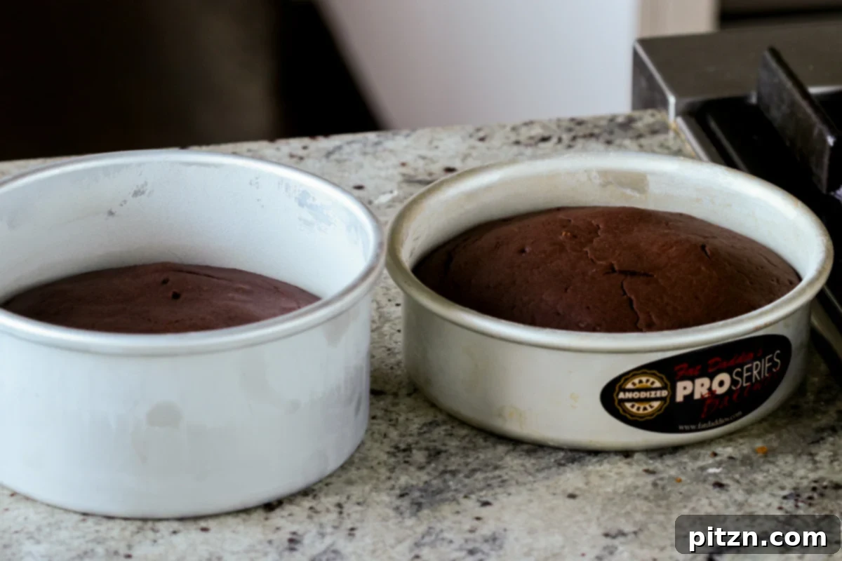 Decadent Vegan Mocha Cake with Velvety Chocolate Mousse (Gluten-Free Option) 16 vegan mocha cakes in the pan after baking
