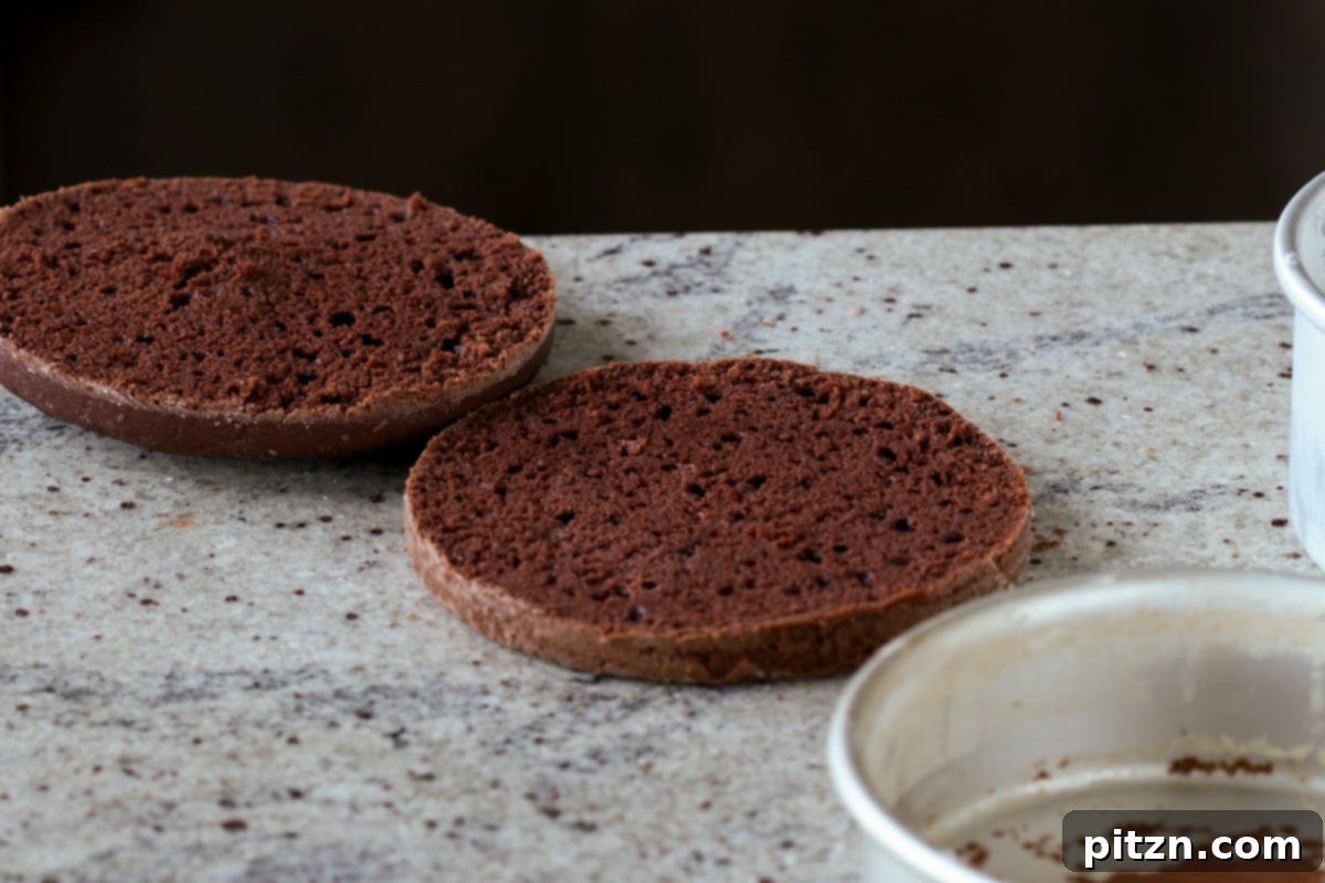 Decadent Vegan Mocha Cake with Velvety Chocolate Mousse (Gluten-Free Option) 17 mocha cake after slicing in half and poking holes with a toothpick