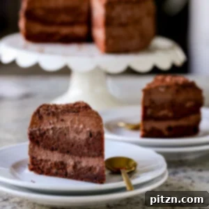 Decadent Vegan Mocha Cake with Velvety Chocolate Mousse (Gluten-Free Option) 26 slices of mocha mousse cake with the whole cake in the background