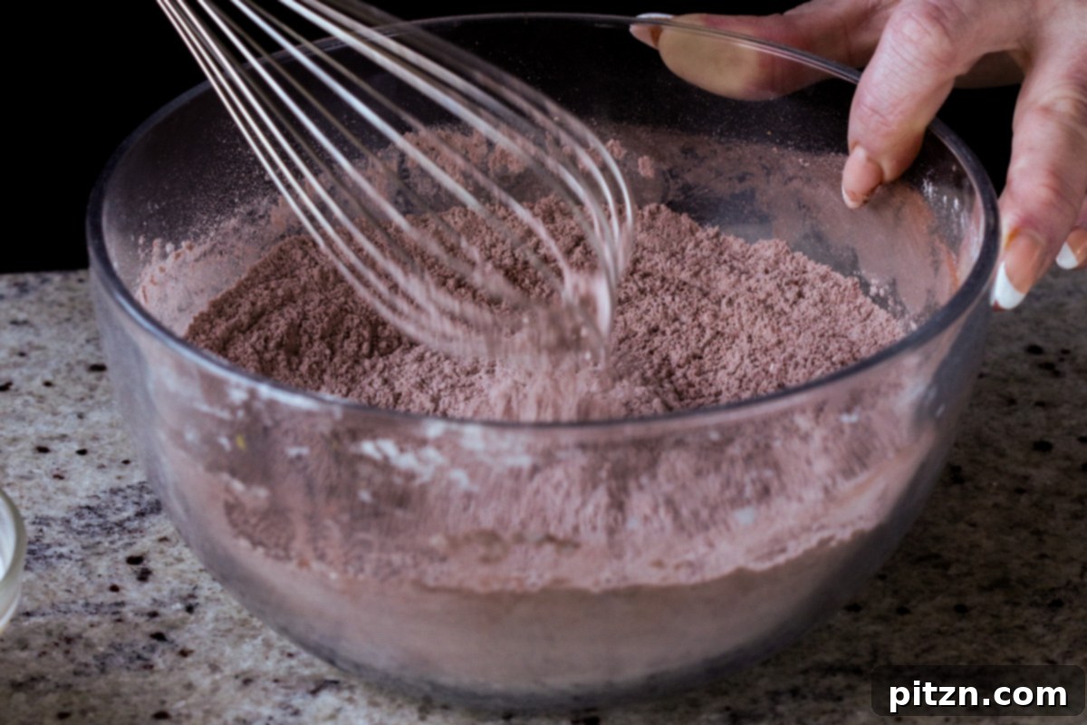 Decadent Vegan Mocha Cake with Velvety Chocolate Mousse (Gluten-Free Option) 8 mixing the dry ingredients in a bowl