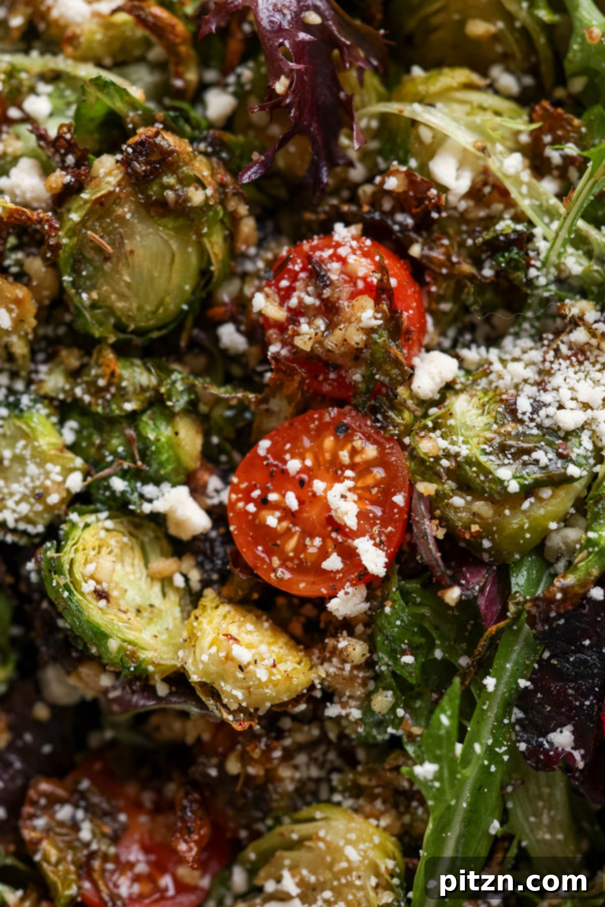Roasted Shaved Brussels Salad with Walnut Crumble 3 extreme close-up of shaved Brussels sprouts salad