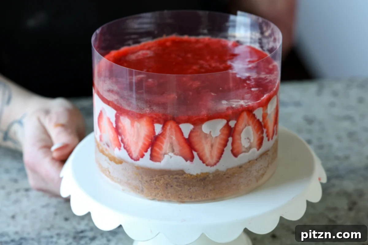 Vegan Strawberry Mousse Cake Gluten Free 27 The fully assembled strawberry mousse cake, beautifully layered inside the cake collar