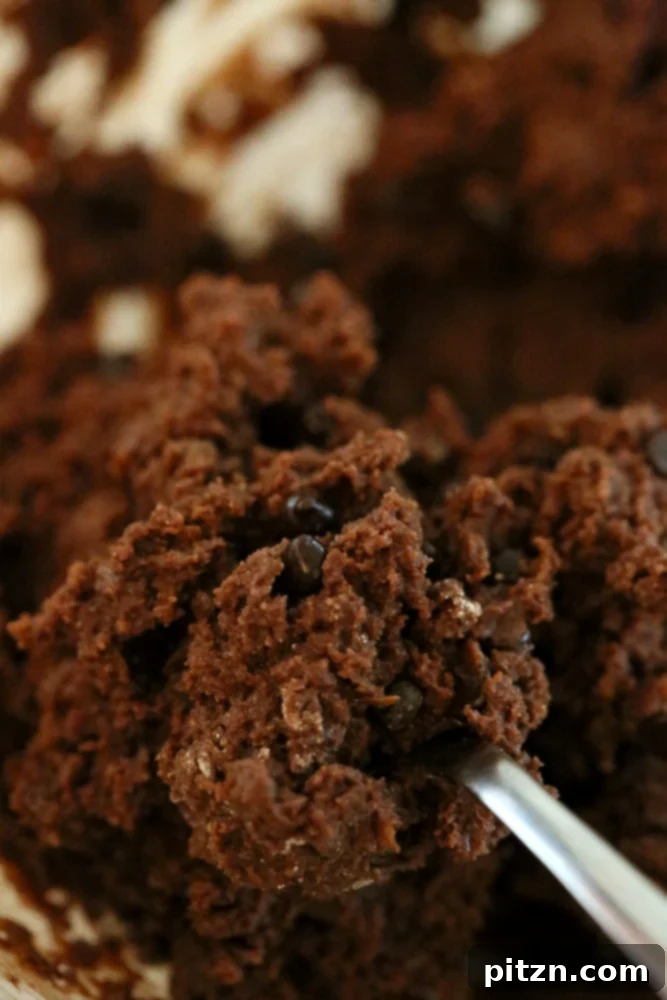 Fudgy Vegan Gluten-Free Coconut Flour Brownies 6 These Vegan Coconut flour brownies are fudgy, moist and perfect for the chocolate craving. No dairy, eggs, gluten, grain, yeast, soy or nut | VeganRicha.com #vegan #glutenfree #brownie