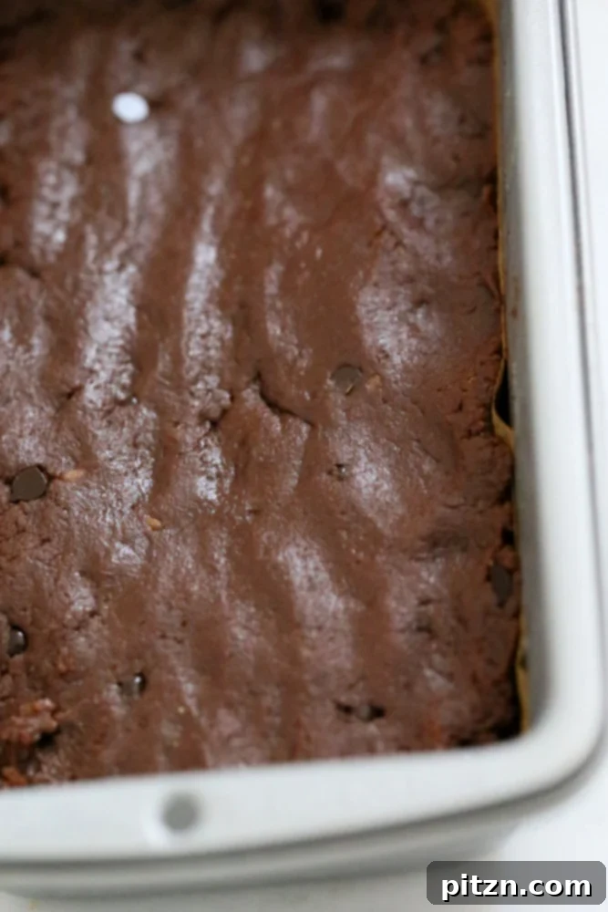 Fudgy Vegan Gluten-Free Coconut Flour Brownies 7 These Vegan Coconut flour brownies are fudgy, moist and perfect for the chocolate craving. No dairy, eggs, gluten, grain, yeast, soy or nut | VeganRicha.com #vegan #glutenfree #brownie