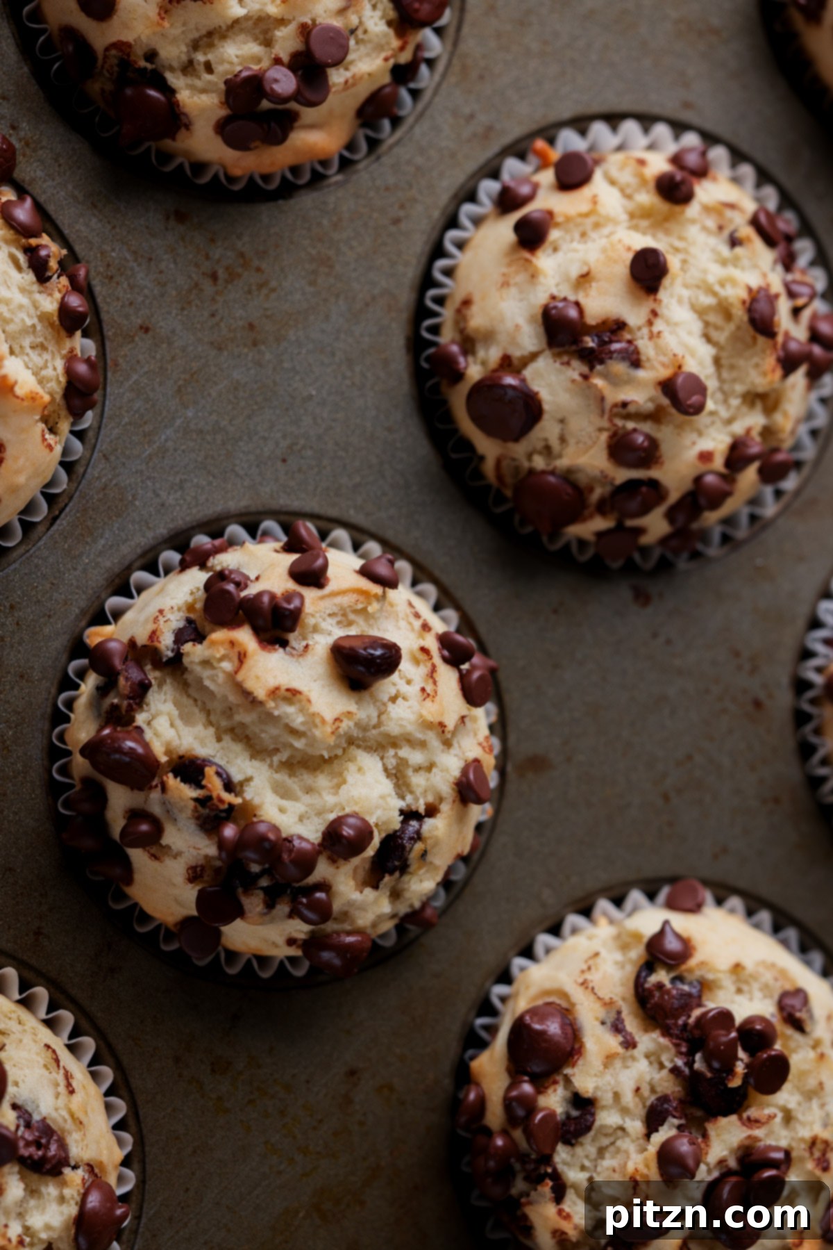 Unbelievably Fluffy Vegan Gluten-Free Chocolate Chip Muffins 4 Freshly baked vegan chocolate chip muffins cooling in their baking pan, showing their perfectly domed tops and golden brown edges.
