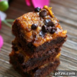 Vegan Pumpkin Brownies