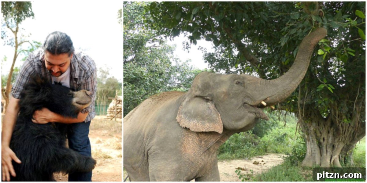 WildlifeSOS Elephant Sanctuary - Dedicated to Animal Welfare