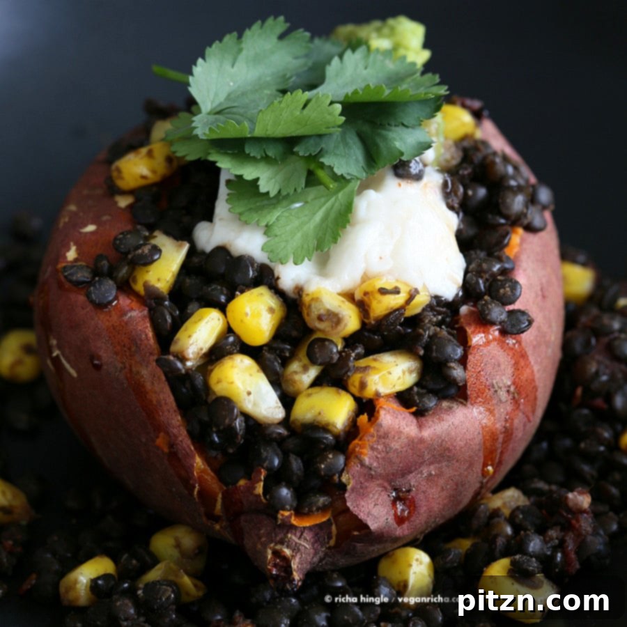 Savory Vegan Lentil Stuffed Sweet Potatoes