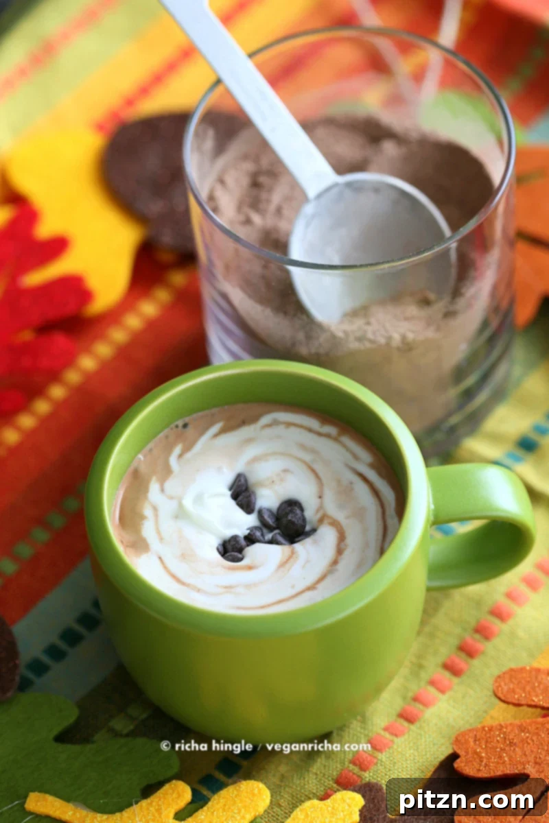 Spiced Mexican Cocoa Blend 3 Mexican Hot Chocolate Mix | Vegan Richa #vegan #holiday #chocolate Make it with Pumpkin Pie Spice, Chai Spice, Mint chocolate, gingerbread, Caramel, Nut butter and more
