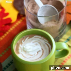 Spiced Mexican Cocoa Blend 4 Mexican Hot Chocolate Mix | Vegan Richa #vegan #glutenfree #veganricha