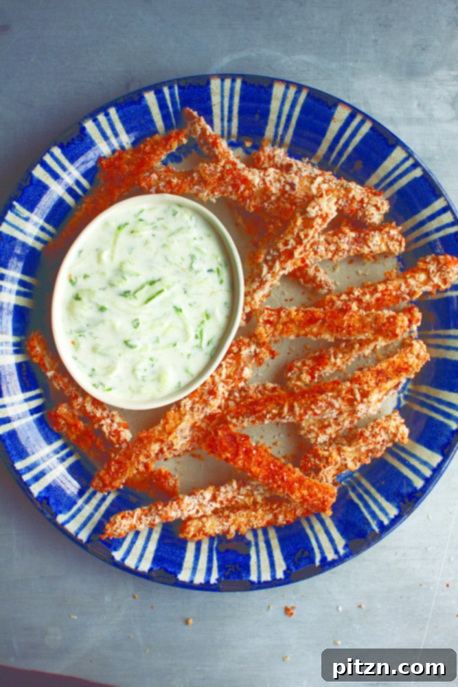 Baked Eggplant Fries with Tzatziki Sauce from Vegan Without Borders