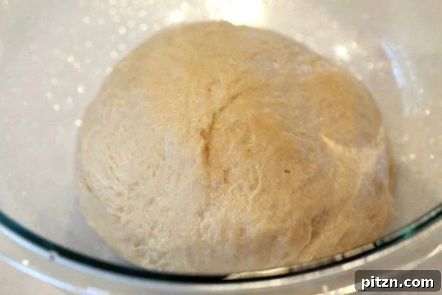 Mixing ingredients to form the Vegan Pretzel dough.