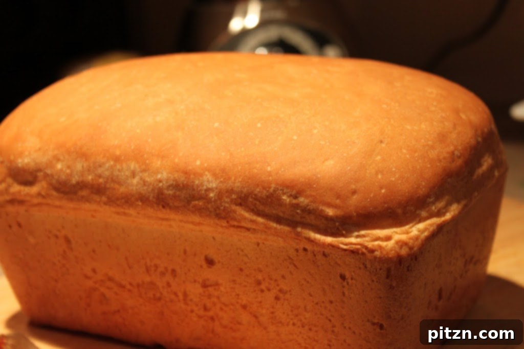 A close-up of the perfectly baked, golden-brown crust of the vegan sandwich loaf, ready to be sliced.