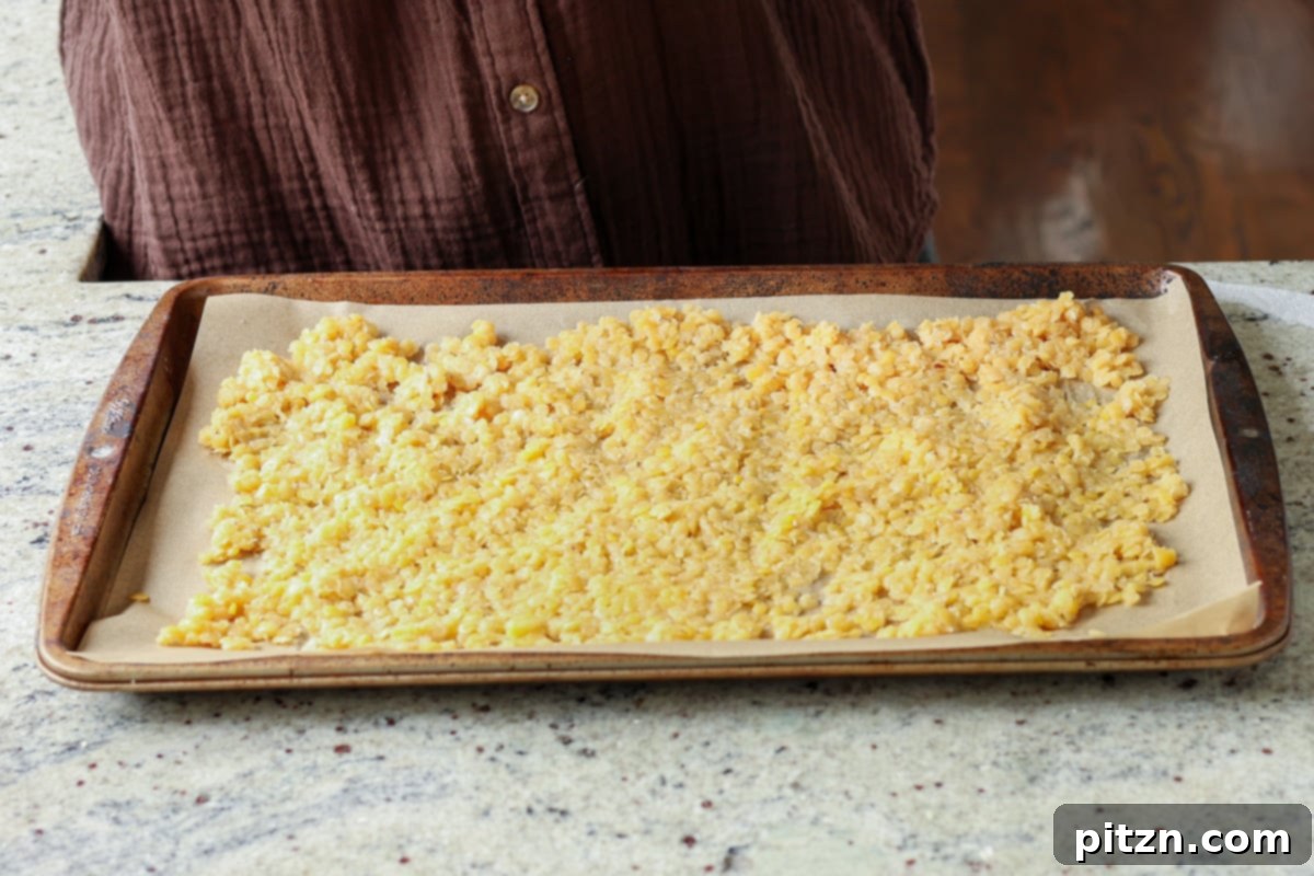 Lentil Protein World Tour Mix 16 Drained cooked lentils spread thinly on a baking sheet for initial drying.