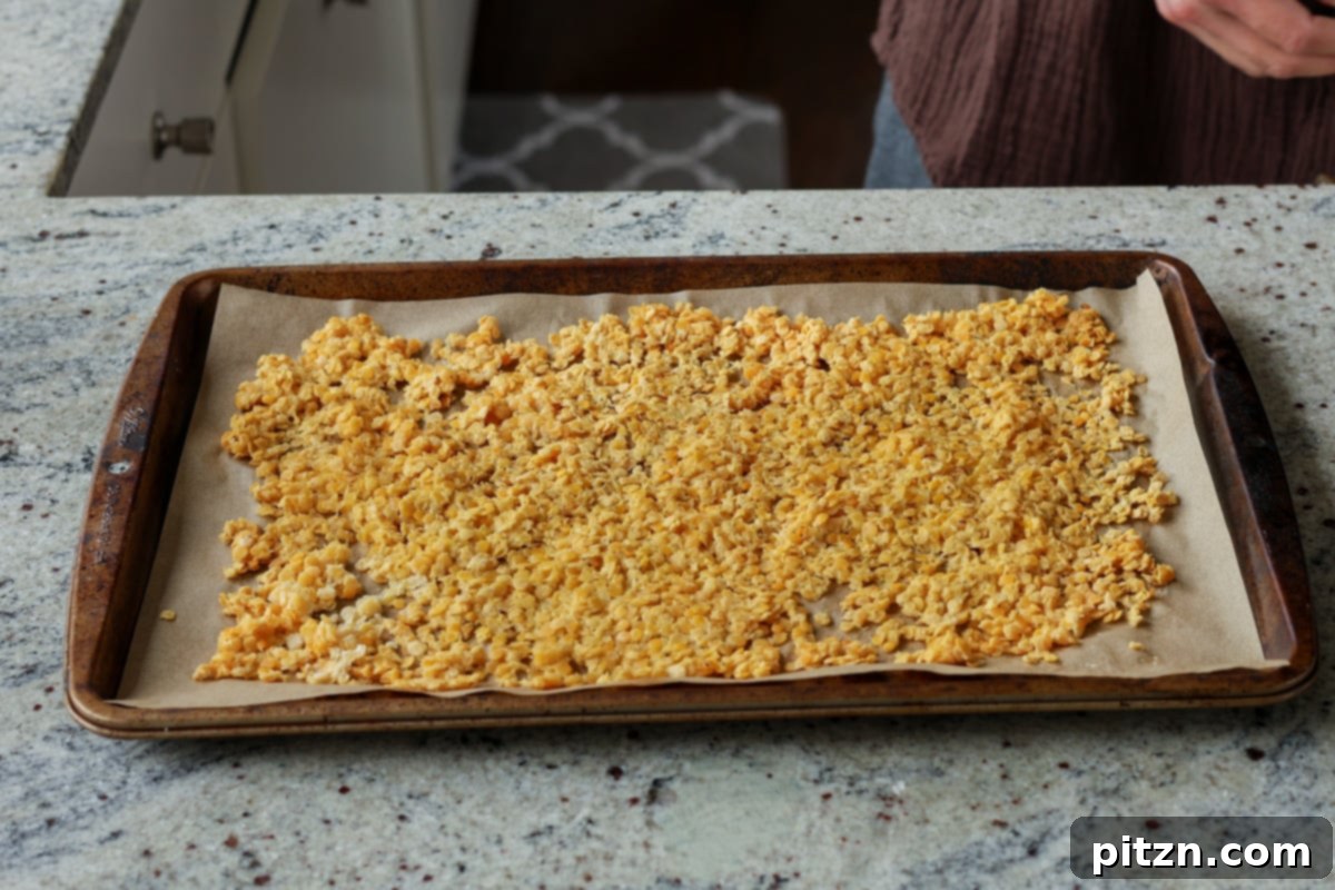 Lentil Protein World Tour Mix 17 Lentils drying out in the oven on a parchment-lined baking sheet.