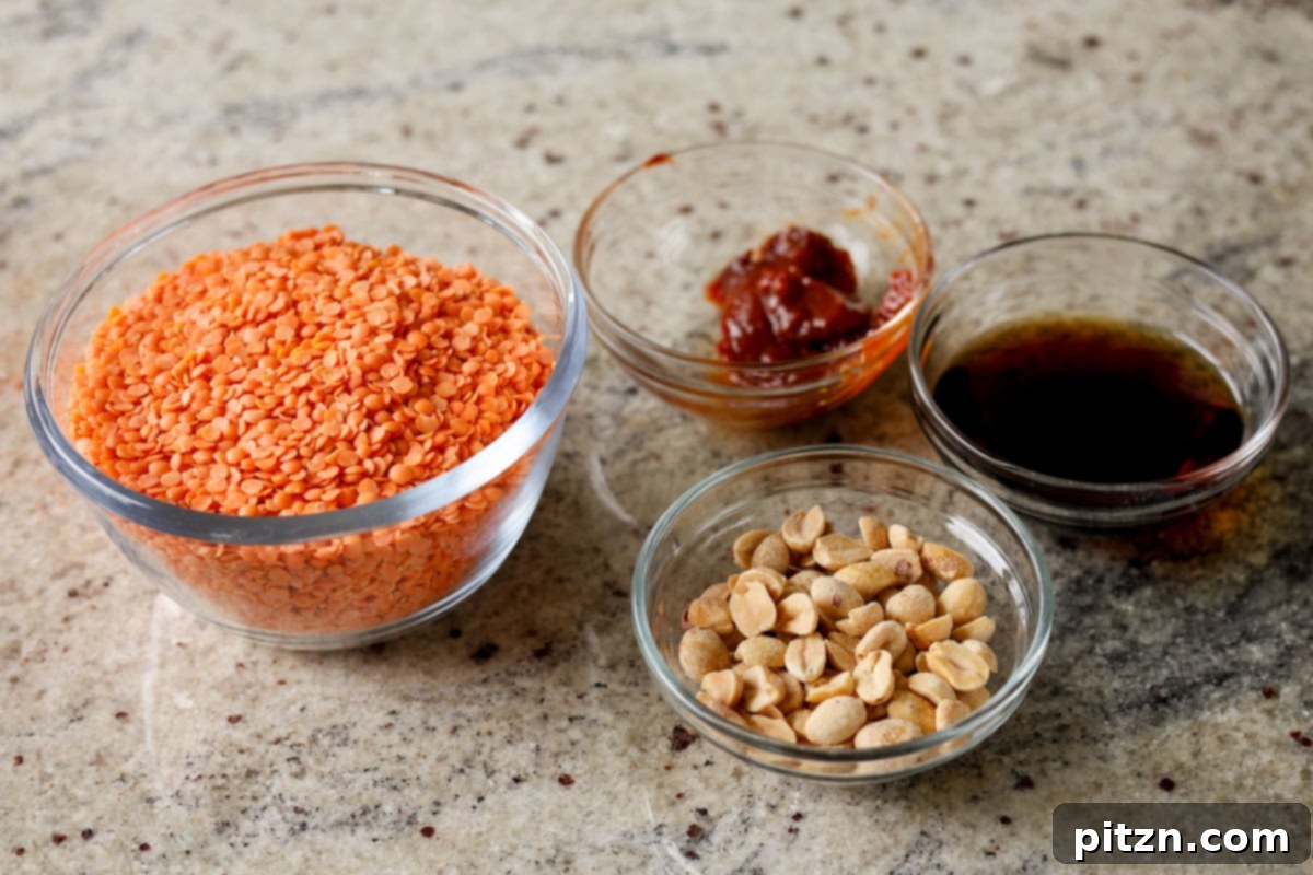 Lentil Protein World Tour Mix 9 Ingredients for peanut gochujang savory lentil granola laid out.