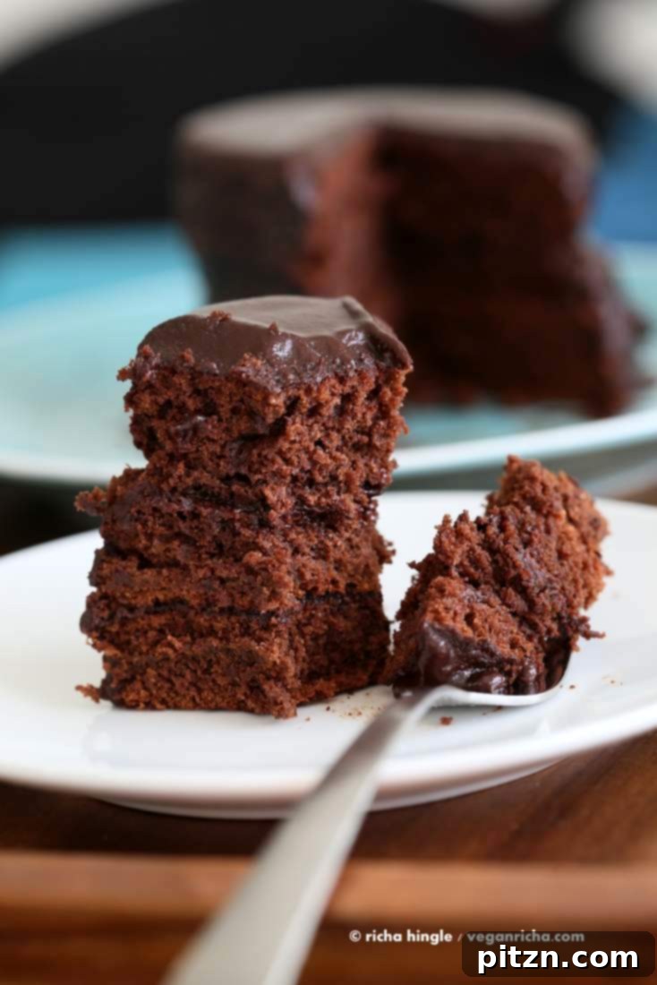 Final presentation of Vegan Chocolate Layer Cake with Ganache