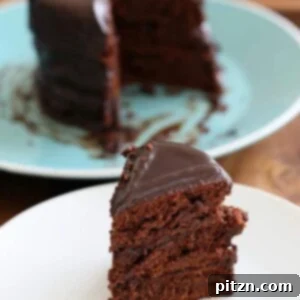 Vegan Chocolate Layer Cake
