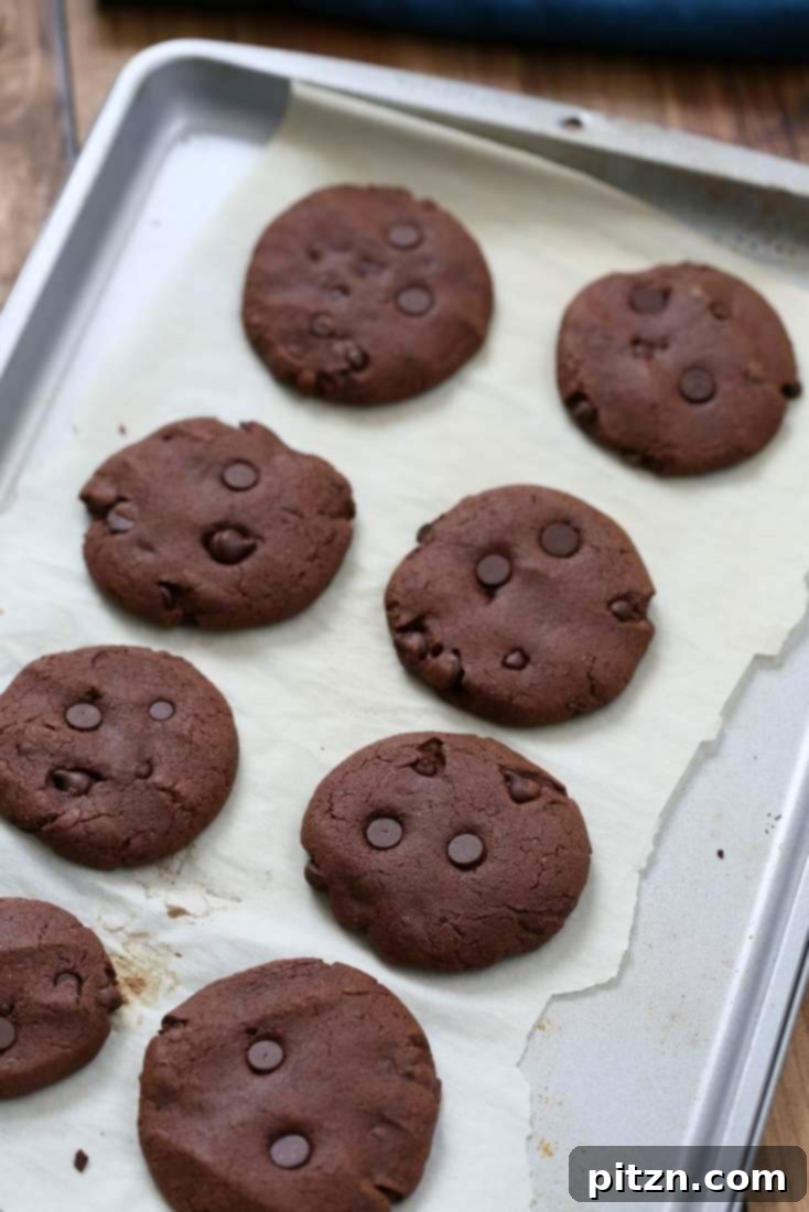 Chewy Vegan Double Chocolate Chip Cookies 3 Vegan Double Chocolate Chip Cookies | Vegan Richa