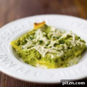 My Honest Review: Healthy Happy Vegan Kitchen's Vegan Lasagna Verde 8 This delicious Vegan Lasagna Verde features a unique green pesto, creamy cashew ricotta, and savory tofu layers.